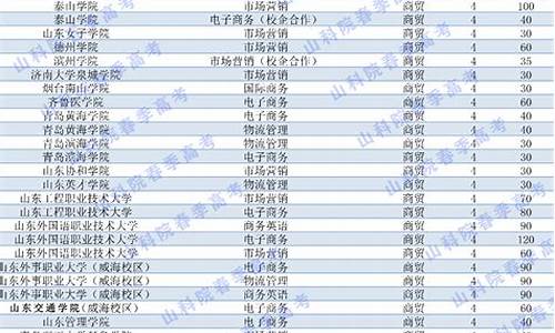 山东春季高考电子商务本科学校(山东春考电子商务技能考什么)