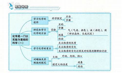 九下化学知识与能力训练电子版